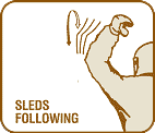 sleds-following